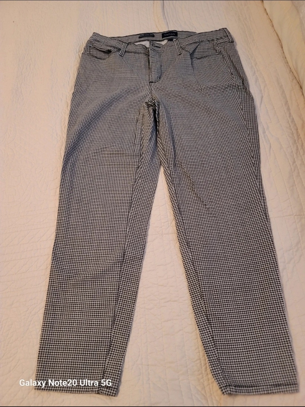 Charter Club Black and White Micro-Check Women's Trousers